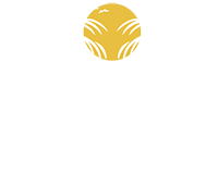 luxury studios tsilivi